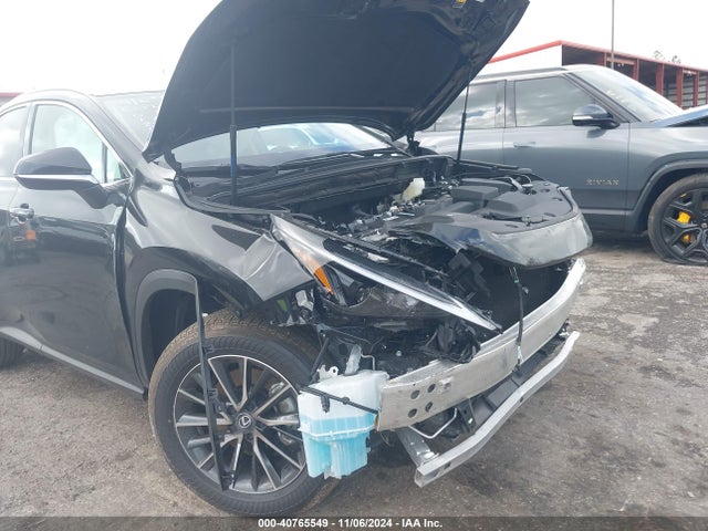 Продаж на аукціоні авто 2025 Lexus Nx 250, vin: 2T2ADCAZ9SC018640, номер лоту: 40765549
