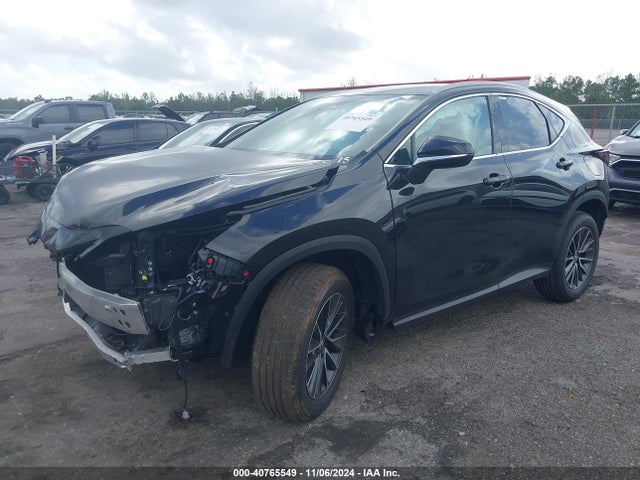 Продаж на аукціоні авто 2025 Lexus Nx 250, vin: 2T2ADCAZ9SC018640, номер лоту: 40765549