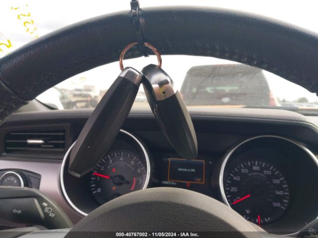 1FA6P8THXK5133818 Ford Mustang Ecoboost