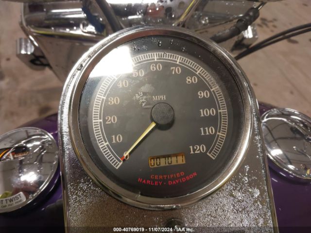 2001 HARLEY-DAVIDSON FLSTF 1HD1BMY171Y028821 Photo 6