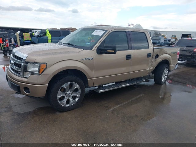 Ford F-150 Xlt 2014 1FTFW1EF2EFB10600 Image 2