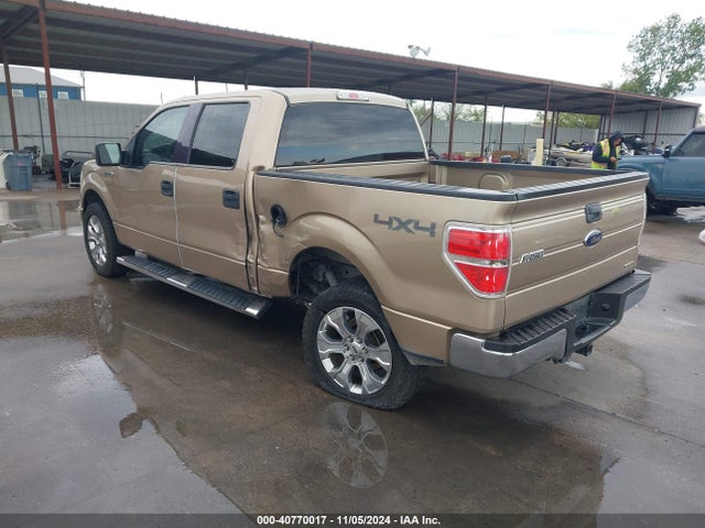 Ford F-150 Xlt 2014 1FTFW1EF2EFB10600 Image 3