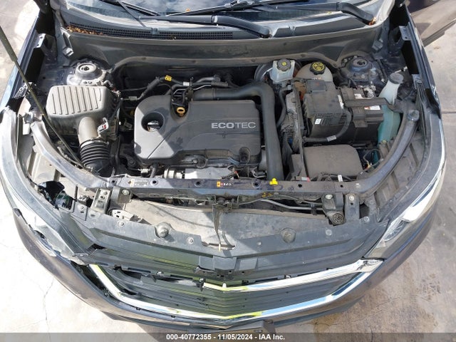 Chevrolet EQUINOX LS 2019 3GNAXSEV1KL320246 Image 10