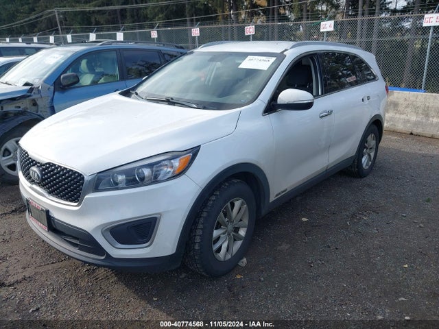 KIA Sorento Lx V6 2017 5XYPGDA52HG315321 Image 2