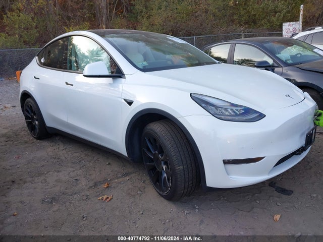 2021 TESLA MODEL Y 5YJYGDEE8MF075417 Photo 0