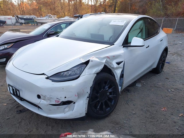 2021 TESLA MODEL Y 5YJYGDEE8MF075417 Photo 1