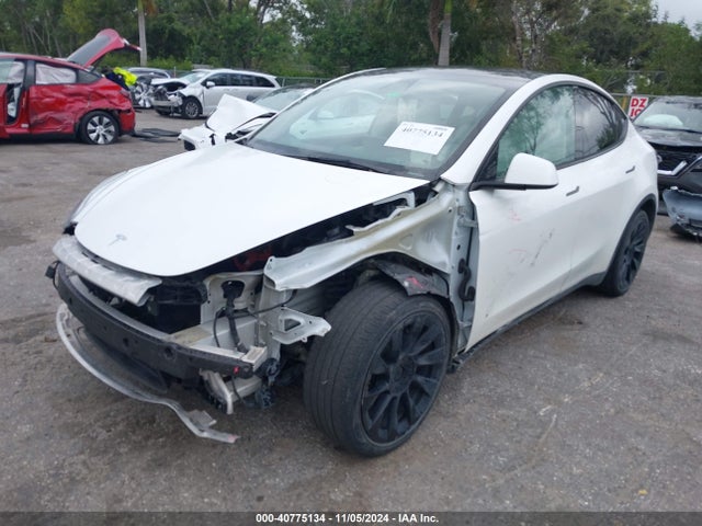 2021 TESLA MODEL Y 5YJYGDEE1MF243687 Photo 1