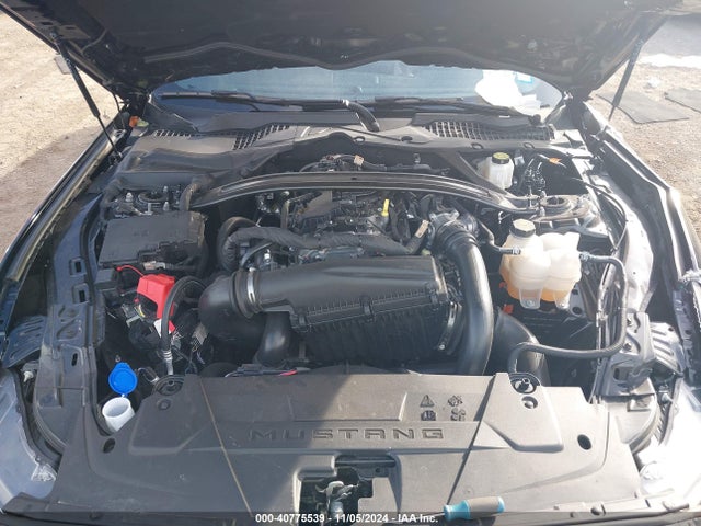 Ford Mustang Ecoboost 2024 1FA6P8TH5R5102888 Image 10