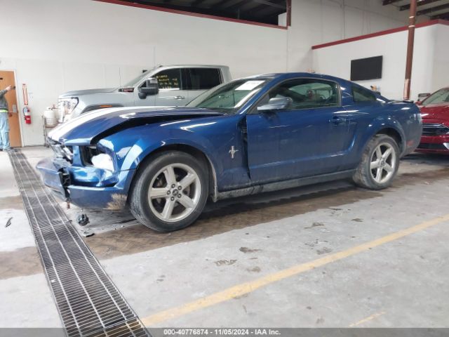 2008 FORD MUSTANG 1ZVHT80N685160643 Photo 1