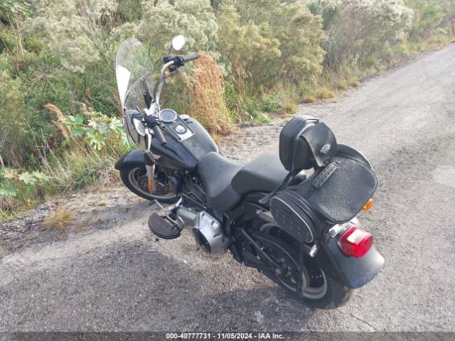 2010 HARLEY-DAVIDSON FLSTFB 1HD1JN516AB042192 Photo 2