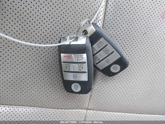 KNDMC5C17G6183138 KIA Sedona Sx