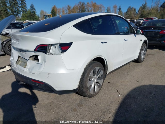 2023 TESLA MODEL Y 7SAYGDEE3PF635688 Photo 3