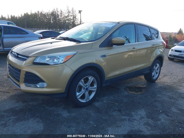 Ford ESCAPE SE 2014 1FMCU0GX9EUB98237 Image 2