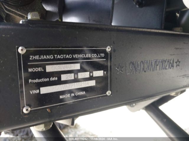 2023 COLEMAN GOLF CART L9NACGVA7P1102164 Photo 8