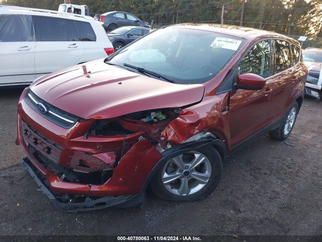 Ford ESCAPE SE 2014 1FMCU0GX2EUD81236 Image 2