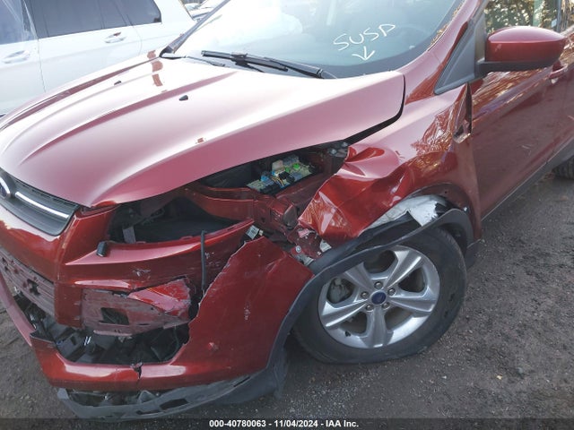 Ford ESCAPE SE 2014 1FMCU0GX2EUD81236 Image 6
