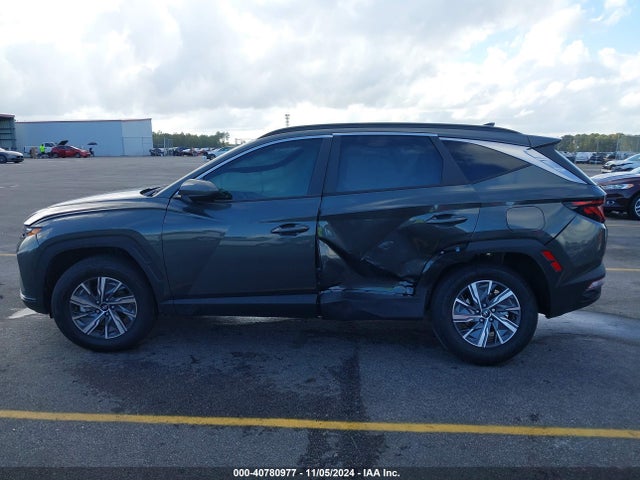 KM8JBCD17RU202502 Hyundai Tucson Hybrid Blue