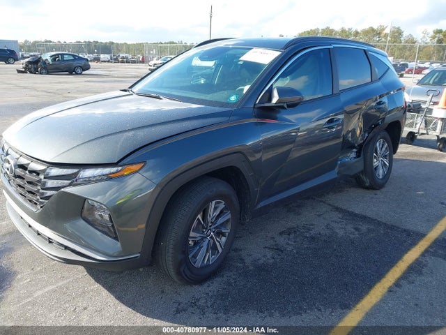 KM8JBCD17RU202502 Hyundai Tucson Hybrid Blue