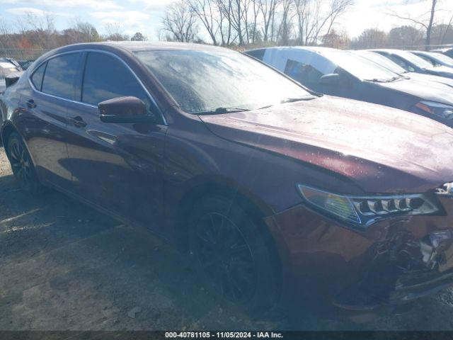 19UUB1F36FA017196 Acura TLX