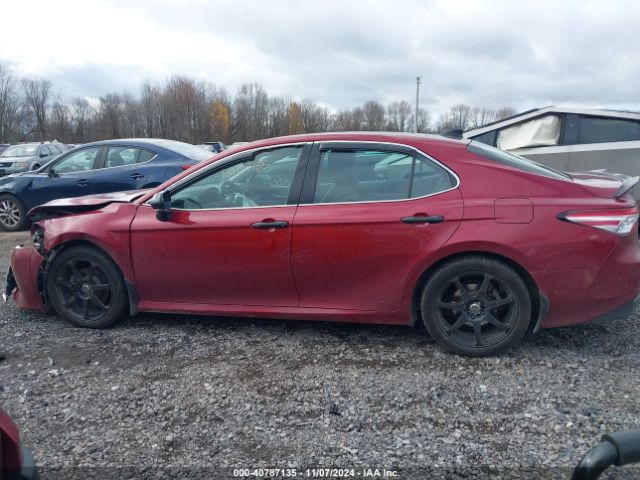 4T1F11AK8LU959796 Toyota CAMRY XLE