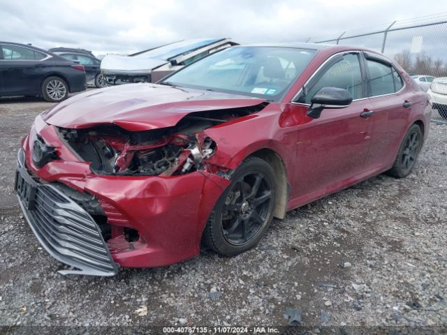4T1F11AK8LU959796 Toyota CAMRY XLE