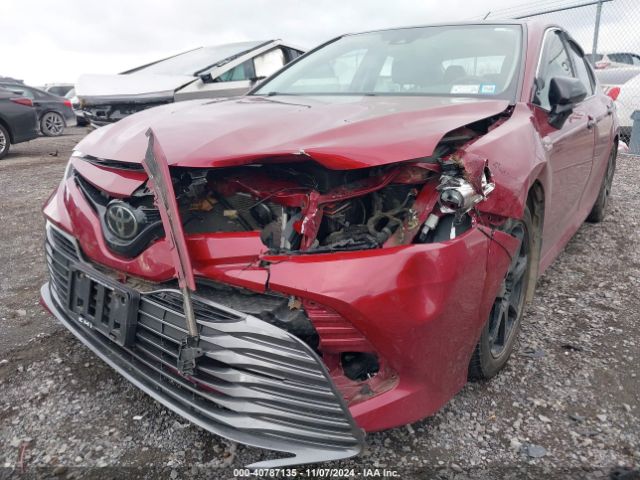 4T1F11AK8LU959796 Toyota CAMRY XLE