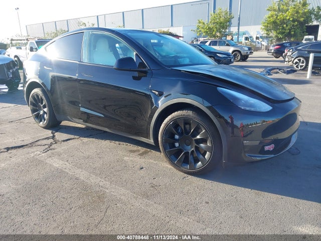 2023 TESLA MODEL Y 7SAYGDEE9PF787698 Photo 0