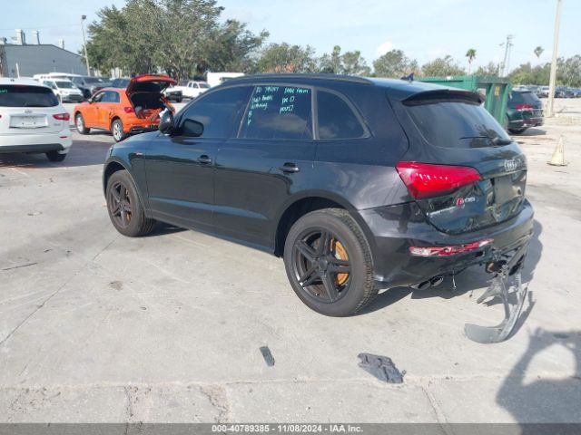 2015 AUDI SQ5 WA1CGAFP3FA117264 Photo 2