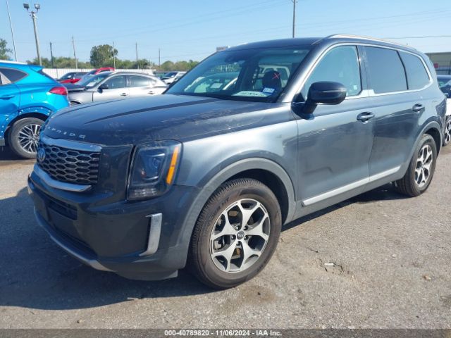 5XYP34HC6LG009764 KIA Telluride Ex