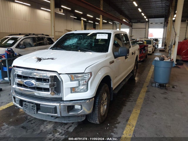 Ford F-150 Xlt 2015 1FTEW1EP0FFB14344 Image 2