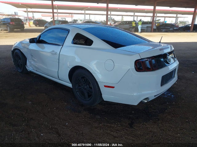 Ford Mustang V6 2014 1ZVBP8AM8E5306505 Image 3