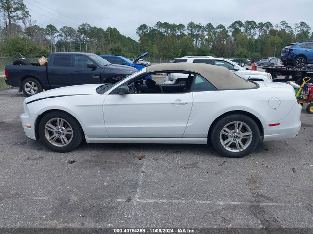 Ford Mustang V6 2014 1ZVBP8EM5E5322865 Image 14
