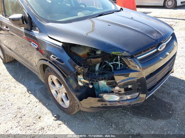 Ford ESCAPE SE 2014 1FMCU0GX4EUB65999 Image 6