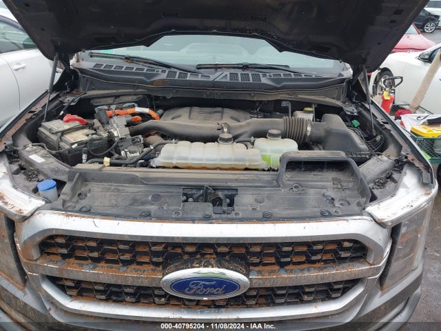 Ford F-150 Platinum 2023 1FTFW1ED3PFA27310 Image 10