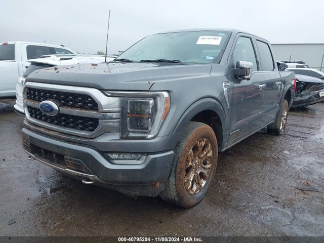 Ford F-150 Platinum 2023 1FTFW1ED3PFA27310 Image 2