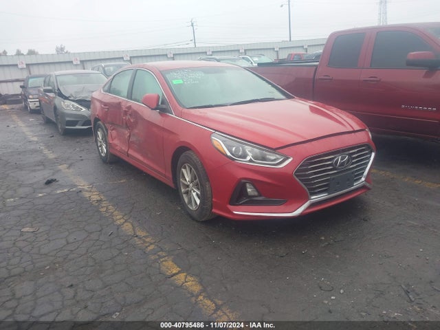 2019 5NPE24AF5KH791853 main image