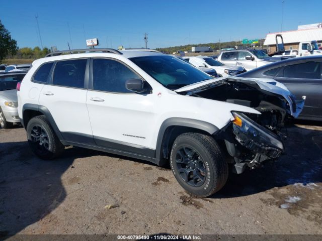 1C4PJMBX0LD572454 Jeep Cherokee Trailhawk 4x4