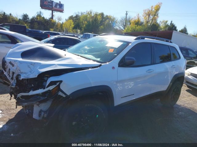 1C4PJMBX0LD572454 Jeep Cherokee Trailhawk 4x4