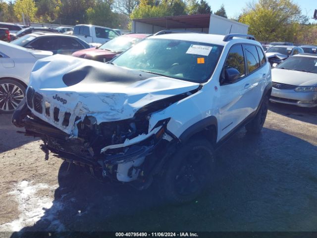 1C4PJMBX0LD572454 Jeep Cherokee Trailhawk 4x4