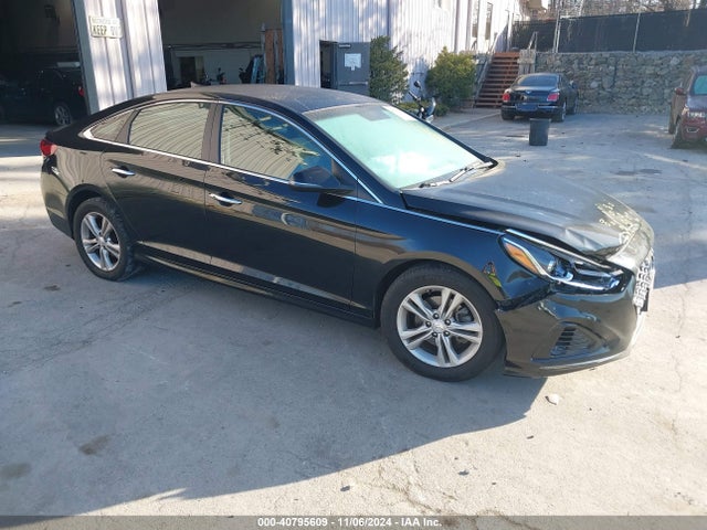 2019 5NPE34AF9KH753023 main image