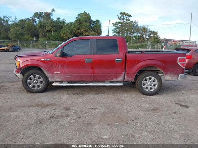 Ford F-150 Xlt 2014 1FTFW1CT9EKD24600 Image 14