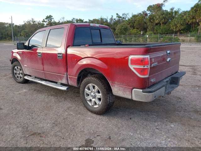 Ford F-150 Xlt 2014 1FTFW1CT9EKD24600 Image 3
