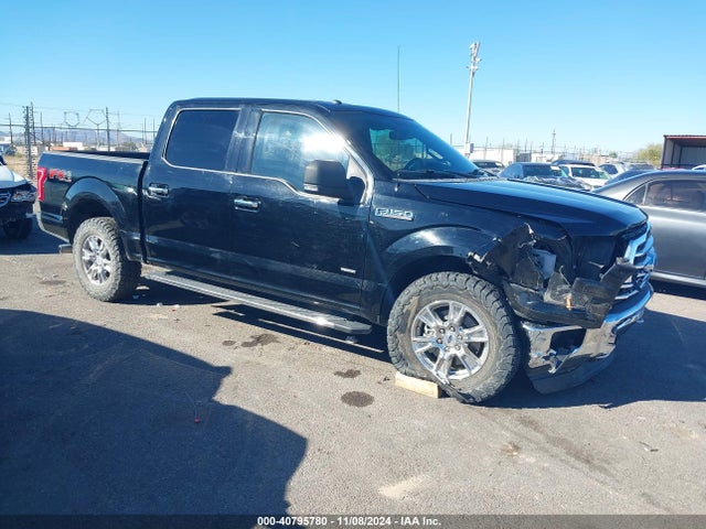 Ford F-150 Xlt 2016 1FTEW1EG5GKF71210 Image 14