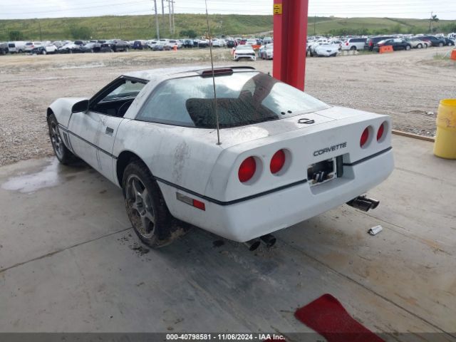 1989 CHEVROLET CORVETTE 1G1YY2183K5124841 Photo 2