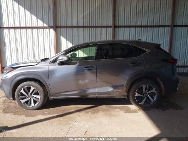 JTJGJRDZ7M2147318 Lexus NX 300H
