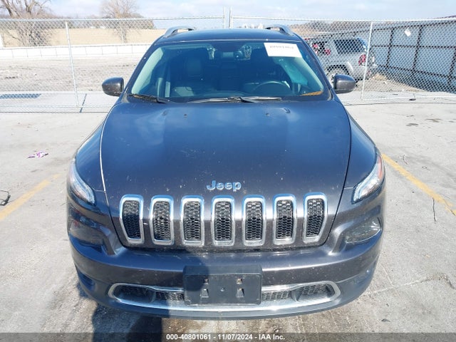 Jeep Cherokee Limited 2016 1C4PJMDS4GW180525 Image 12