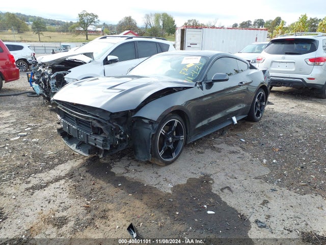 Ford Mustang Ecoboost 2019 1FA6P8TH3K5118383 Image 2