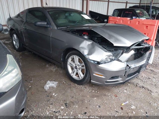 Ford Mustang V6 2014 1ZVBP8AM3E5332042 Image 1