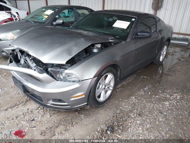 Ford Mustang V6 2014 1ZVBP8AM3E5332042 Image 2