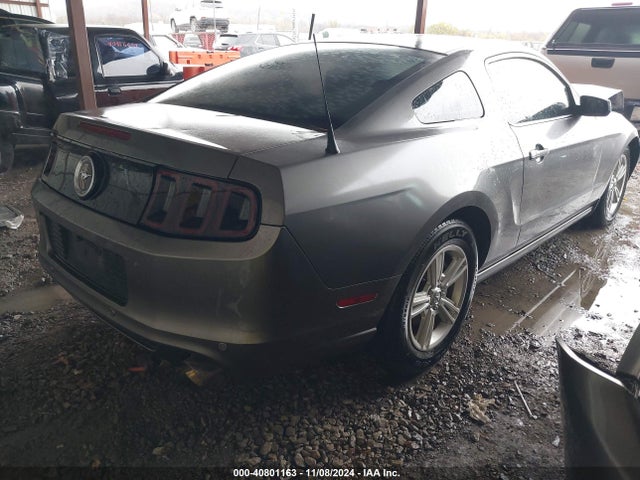 Ford Mustang V6 2014 1ZVBP8AM3E5332042 Image 4